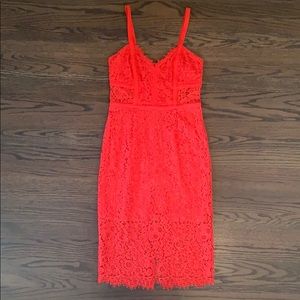 Express Lace Dress